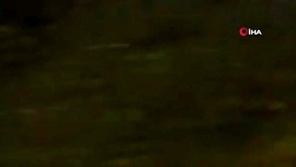 - Lübnan'ı çekirgeler ve hamam böcekleri bastı