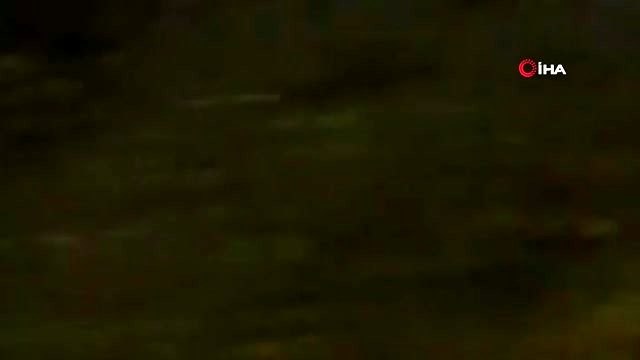 - Lübnan'ı çekirgeler ve hamam böcekleri bastı