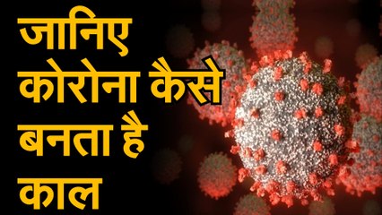 Coronavirus जानिए कोरोना कैसे बन जाता है काल