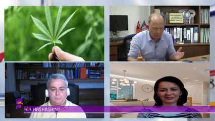 Скачать видео: Ç’fshihet pas legalizimit të kanabisit për Sazan Gurin: Ikën i njomi me të thatin