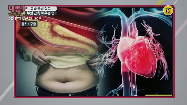 몸속 골병 잡고 부실 근육 채우는 법_내 몸 플러스 197회 예고