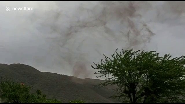 Framers worried after swarm of locusts attack land in northern India