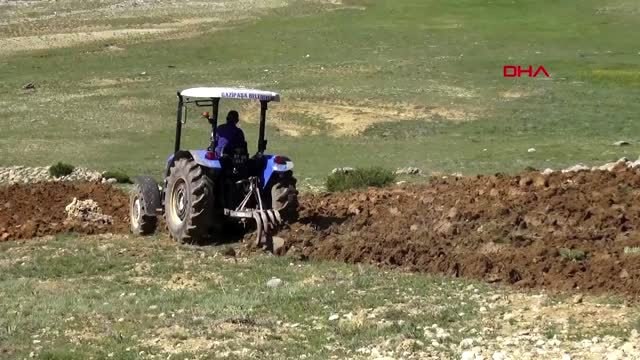 ANTALYA Belediye, yayladaki arazisine nohut ve mercimek ekti