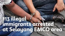 Malaysia in photos | 113 illegal immigrants arrested at Selayang EMCO area