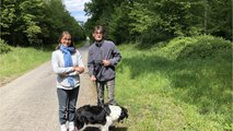 Vigilance post-confinement à la forêt de Mormal