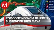 CNDH pide suspender actividades no esenciales en obra de Tren Maya