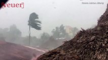 Terrifying Video Shows Typhoon Hitting the Philippines Battering Trees and Forcing Hundreds to Take Shelter