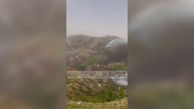 Një zjarr i madh përfshin pyllin në Fan të Mirditës, digjen më shumë se 200 ha pisha