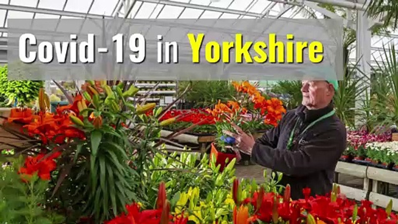 Coronavirus in Yorkshire this week