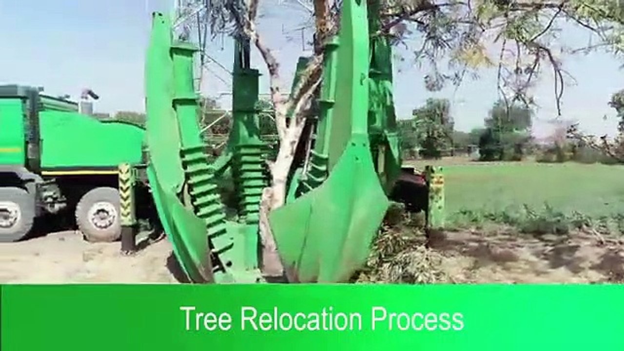 Sterlite Power - Tree Relocation Process - Transmission Corridor - Conserving Energy