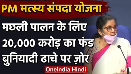 Nirmala Sitharaman ने PM मत्स्य संपदा योजना में दिए 20 हजार करोड़ | 20 Lakh Package | वनइंडिया हिंदी