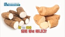 3천 년 역사의 천마! 일반 마와 전혀 다르다?
