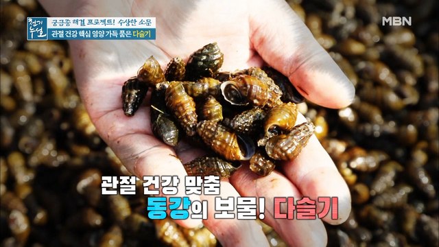 근육,혈관,염증 제거의 삼박자 고루 갖춘 '관절 지킴이'가 있다?