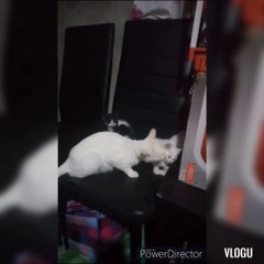 The loving mother to her baby