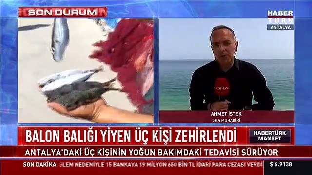 Balon balığı yiyen 3 kişi zehirlendi! Balon balığı nedir?