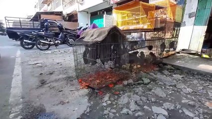 Korku Dolu bir türlü kapatılmayan vahşi hayvan pazarları