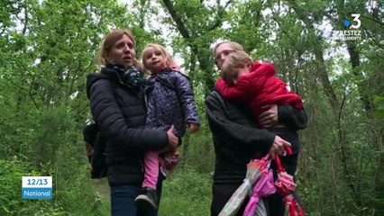 Déconfinement : la forêt de Bouconne rouvre ses 2 500 hectares