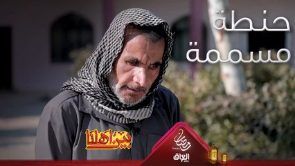 ماكو شي يضعفه حتى الحنطة السامة ما وكفته