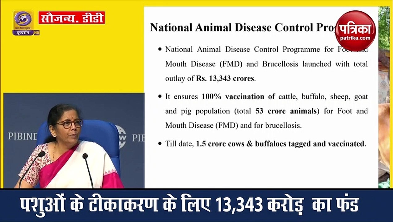 VIDEO: पशुओं को बीमार होने से बचाएगी मोदी सरकार, आर्थिक पैकेज में किया बड़ा ऐलान