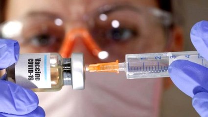 İnsana benzer bağışıklık sistemi olan hayvanda korona aşısı başarılı oldu