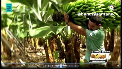 Cantante Danny Rivera invitado especial | Show del Mediodía 15/05/2020