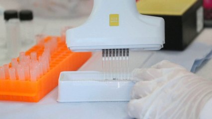 Top News - Vaksina kundër covid 19/ Sukses në testimin tek majmunët