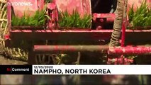 Kuzey Kore'de pirinç ekim sezonu şarkılar eşliğinde başladı