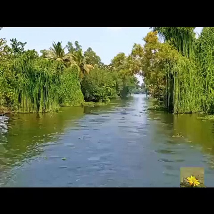 The Rabbit Farm ,Mannavanur village kodaikanal,india. video Dailymotion