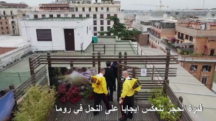 فترة الحجر تنعكس إيجابا على النحل في روما