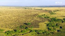 Our Planet - From Deserts to Grasslands - FULL EPISODE - Netflix