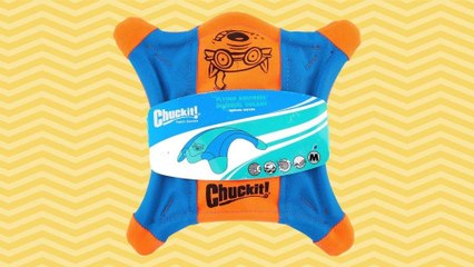 Chewy Just Discounted Thousands of Pet Toys—Shop the Best for as Little as $1