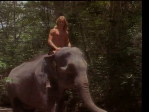 Tarzan y las aguas envenenadas