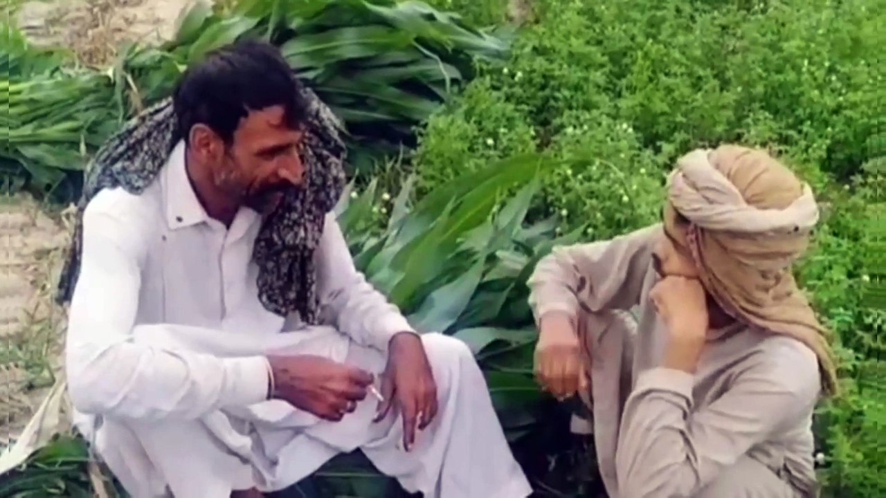 Very funny in Panjabi