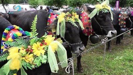 HARD TREK Puntata 4 - Parte 2