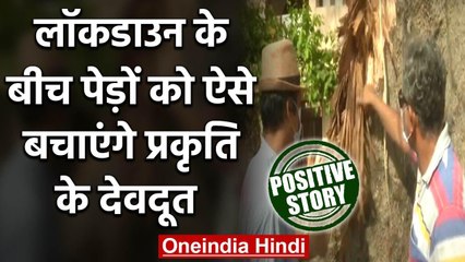 Positive Story: Two persons take initiative to save 100-year-old tree in Vadodara | वनइंडिया हिंदी