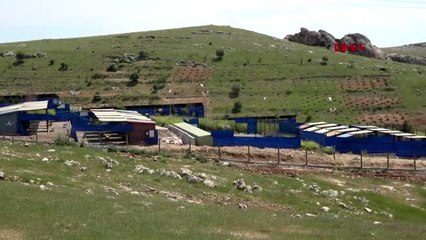 MARDİN HAYVANLARA BEŞ YILDIZ KONFORUNDA HİZMET