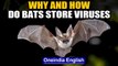 Covid-19, Nipah may have bats in common, why are viruses traced to them? We answer | Oneindia News