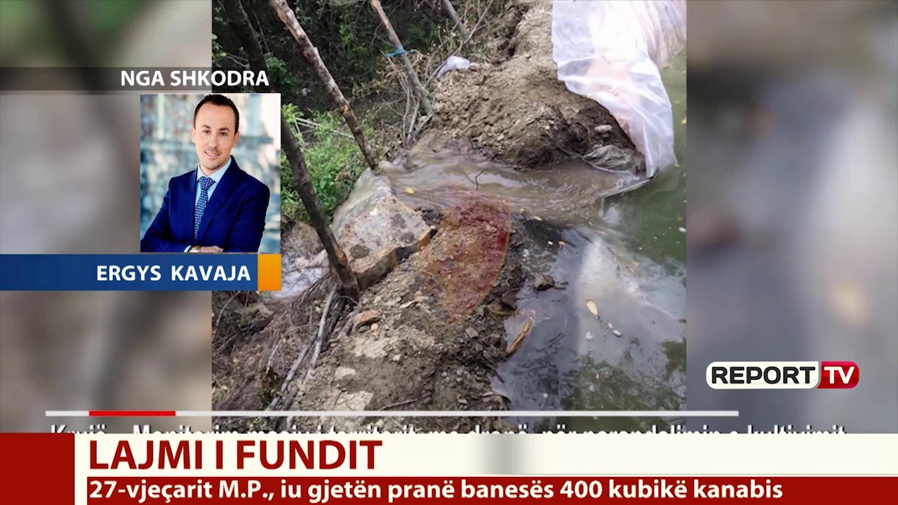 Report TV -Operacionet anti-drogë/  Arrestohen dy inspektorë në Ishëm dhe një i ri në Pukë