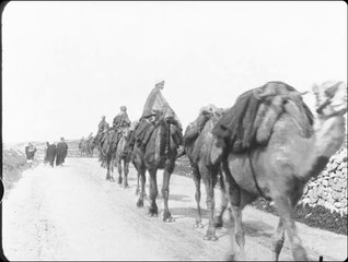 Caravane de chameaux (Caravana de camellos) [1897]