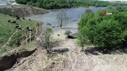 Burası Afrika değil Arnavutköy