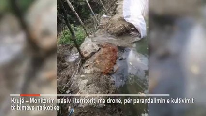 Top News - Operacion antidroge/ Policia ndërhyn me dron në Krujë