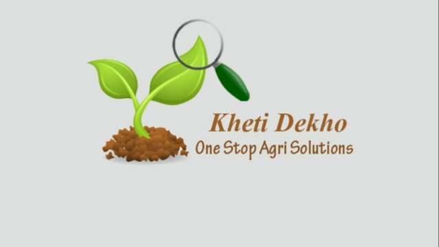 Automatic Potato Planter by using tractor | semi automatic planter | modern agricultural machinery | types of potato planter