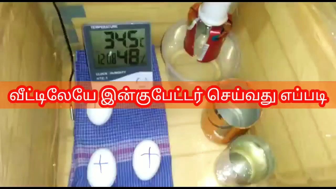 BUILD YOUR OWN EGG INCUBATOR IN HOME   வீட்டிலேயே இன்குபேட்டர் செய்வது எப்படி