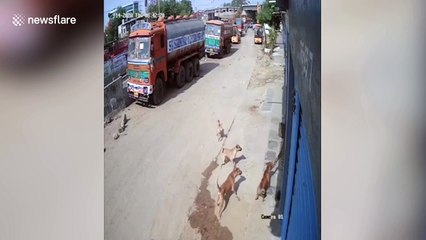 Security cam captures moment wild leopard attacks man in southern India