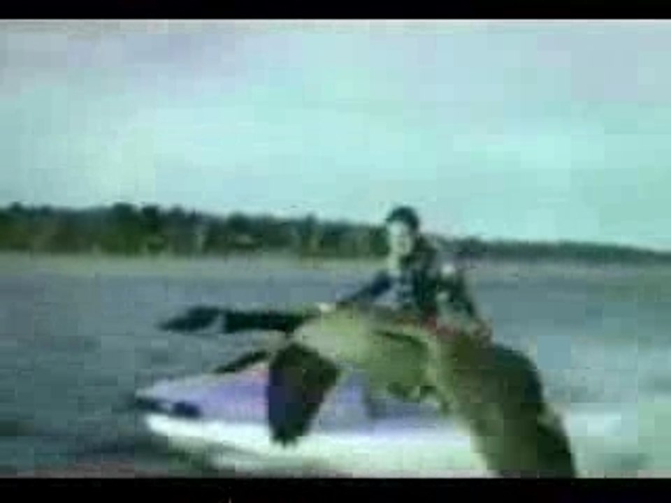 Chute