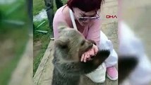 Emel Müftüoğlu'nun elini yavru ayı ısırdı