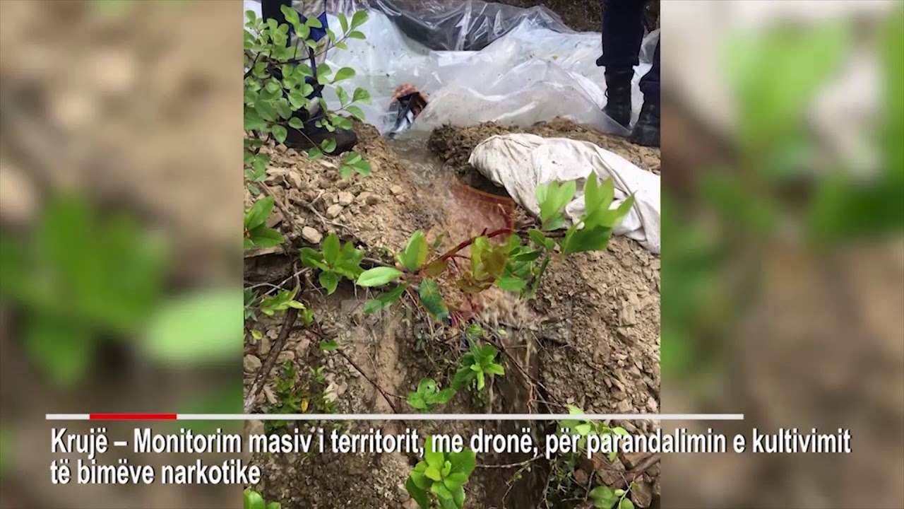 Drone kunder kanabisit