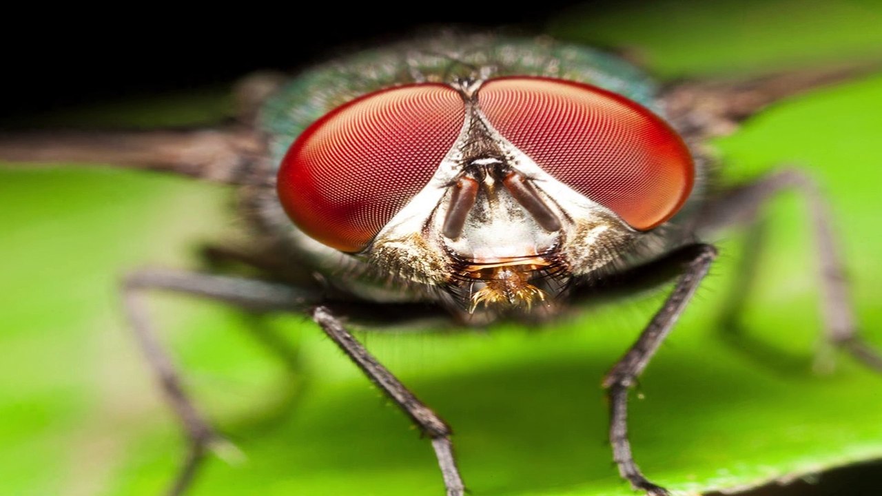 Why Can We See Our Breath In The Cold? | ghost | water vapor | hindhi\urdu