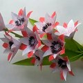 How to make peper flowers?