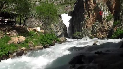 Doğada 'Korona virüs' sessizliği